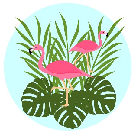 pink flamingos with palm leaves and monsteraのイラスト素材