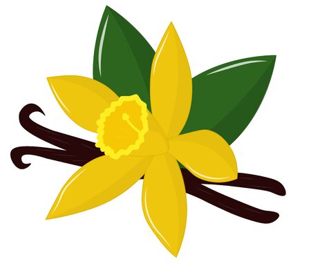 vanilla flower with leaves and chopsticksのイラスト素材