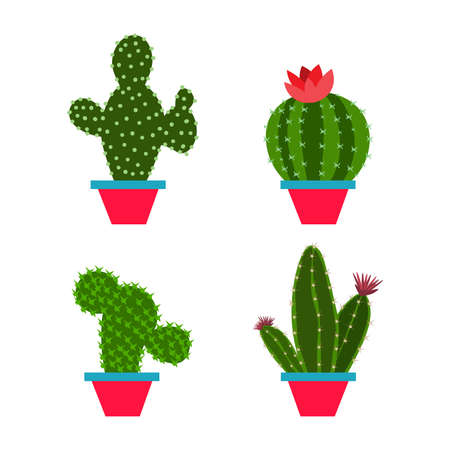 set cactus in a flat style on a white background. Home plants cactus in pots and with flowers. A variety of decorative cactus with flowers and without.のイラスト素材