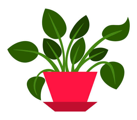 Vector illustration flower, plant growing in a pot. Potted plant icon. Indoor plant in a pot isolated on white background. Seedling iconのイラスト素材