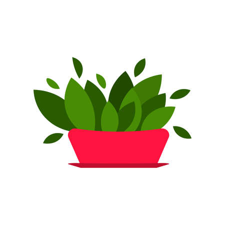 Vector illustration flower, plant growing in a pot. Potted plant icon. Indoor plant in a pot isolated on white background. Seedling iconのイラスト素材