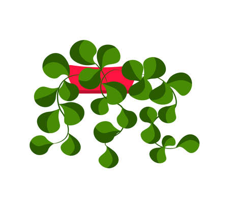 Vector illustration flower, plant growing in a pot. Potted plant icon. Indoor plant in a pot isolated on white background. Seedling iconのイラスト素材