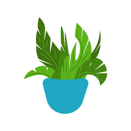 Vector illustration flower, plant growing in a pot. Potted plant icon. Indoor plant in a pot isolated on white background. Seedling iconのイラスト素材
