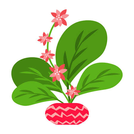 Vector illustration flower, plant growing in a pot. Potted plant icon. Indoor plant in a pot isolated on white background. Seedling iconのイラスト素材