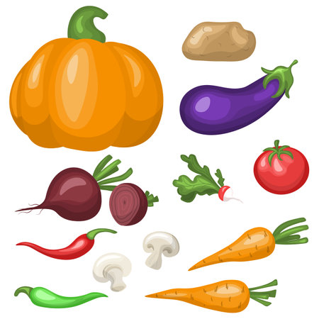 A set of vegetables. flat vector illustration. Potatoes isolated, tomatoes, mushrooms, pumpkin, hot peppers, beets, radishes, carrots, isolated on white.のイラスト素材