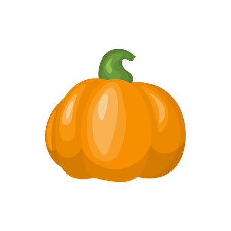 Cartoon pumpkin. Autumn halloween or thanksgiving pumpkin. Autumn harvest. Squash and gourd vegetable cartoon icons.のイラスト素材