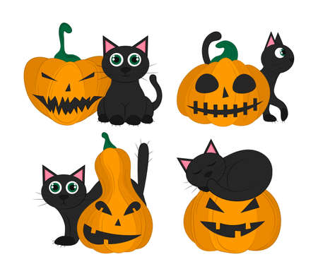 Set of black cats with pumpkin isolated on a white background. Set of objects for Halloween. Vector flat illustration. Holiday symbols.のイラスト素材