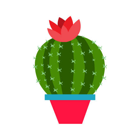 One cactus in a pot isolated on a white background. Vector flat illustration. Indoor plant as an interior object.のイラスト素材