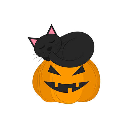 black cat with pumpkin isolated on a white background. object for Halloween. Vector flat illustration. Holiday symbols.のイラスト素材