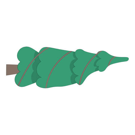 Tied up Christmas tree isolated on white background. Vector flat illustration. Christmas Tree without toys bound with rope.のイラスト素材
