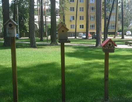 Wooden birdhouse in park.の写真素材