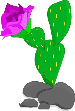  Mexican symbol. Vector banner  cactus isolated on white background.のイラスト素材