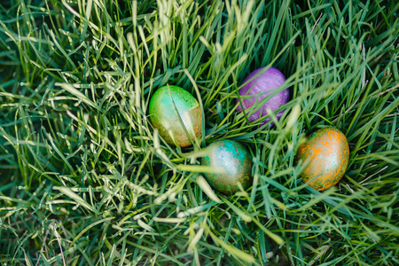 Colorful Easter eggs in the grassの写真素材