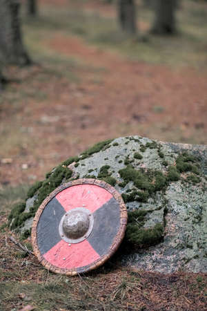 shield and stone on the background of the scandinavian forestの写真素材