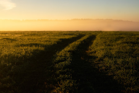 Dirt Road in a field on a foggy spring morning. Rural landscape at sunrise. Dawn. Natureの写真素材