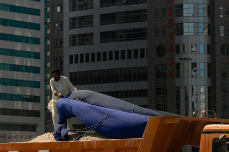 DUBAI, UNITED ARAB EMIRATES - OCTOBER 28, 2022: Construction worker covers with tarpaulin the body of a truck with sandのeditorial素材