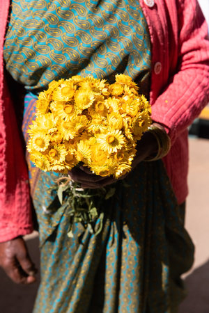 Woman holding in hands marigold flower and reating a mandala with flower petals. Religion and yoga concept.の写真素材
