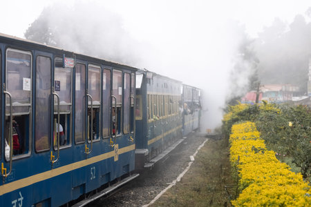 Old steam locomotive train and smoke, Nilgiri Mountain Railway, Ooty, Tamil Nadu, India, Ooty, Tamil...