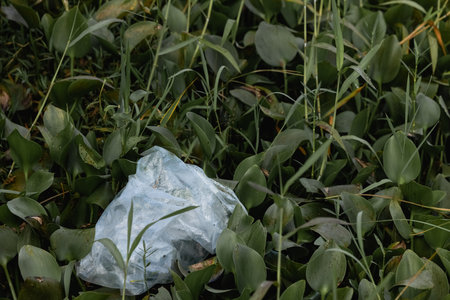Reuse garbage, recycle, plastic free. Food plastic packaging, trash on green grass background. Recycling plastic. Environmental pollution, ecology concept.の写真素材