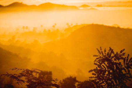 A serene Asian landscape at sunset, with a lone tree and winding road against a backdrop of billowing clouds, offers a captivating natural vista.の写真素材