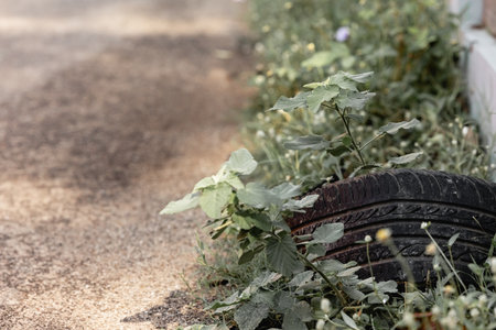 Old used tires stacked on the grass in the park near the road worn-out tiresの写真素材