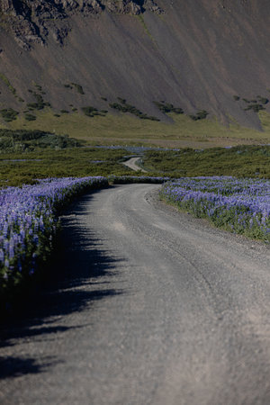 Countryside gravel road Southern region of Iceland.の写真素材