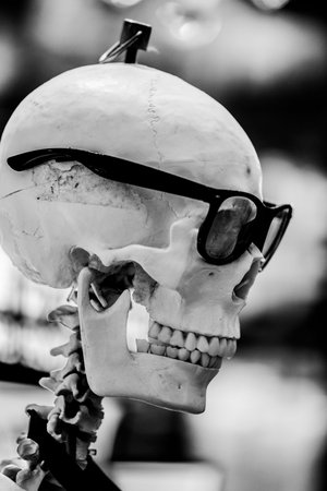 Human skull wears sunglasses Halloween
