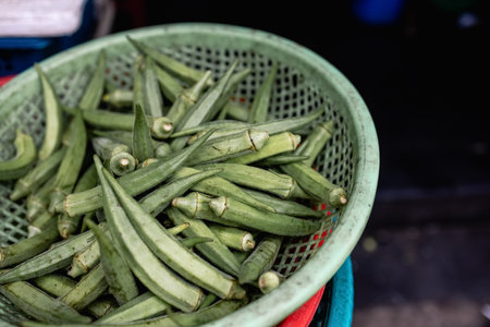 Lots of fresh and green and organic Okra (Lady Finger) in basket at a local Indian vegetable market.の写真素材