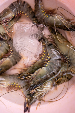 Close up banana shrimp in The fresh food market, Thailand.の写真素材