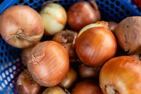 Onions are used as spices and ingredients for cooking, have a large round shape and dense flesh. Fresh vegetables and fruites at local markets allow you to prepare healthy and healthy natural foods.の写真素材