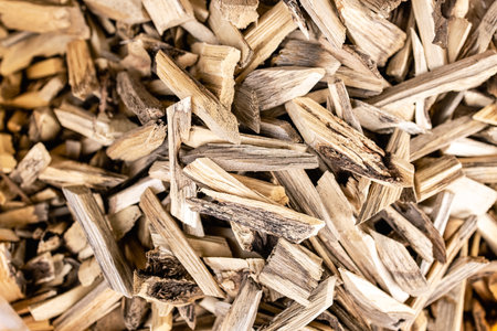 Teak wood pieces are used in rituals in Asia to cleanse the space of evil spirits.の写真素材