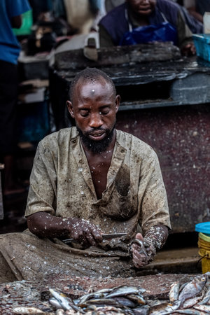 Daily life of African fishermen at the Kivukoni Fish Market.の写真素材