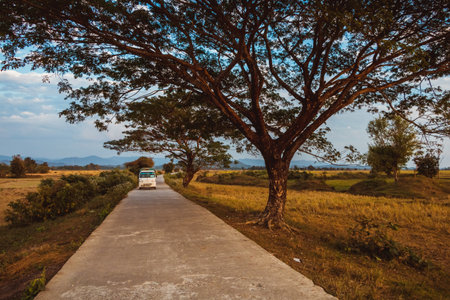 A serene landscape at sunset, with a lone tree and winding roadの写真素材