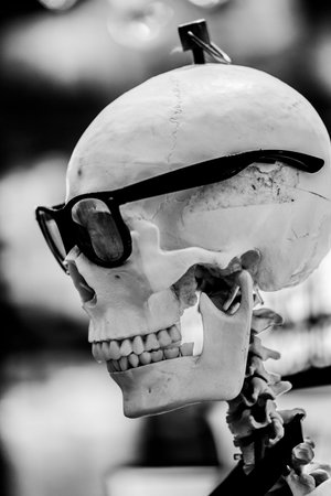 Halloween skeleton model with glasses