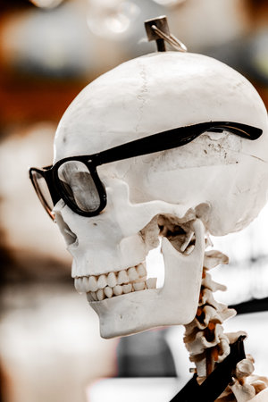 Halloween skeleton model with glasses
