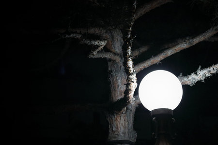 Night picture of the lamp close up. Decorative garden in the night.