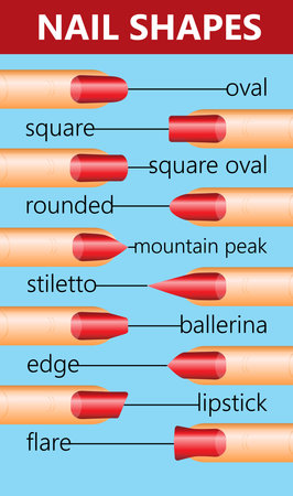 Different nail shapes - Fingernails fashion Trends. Vector illustration.のイラスト素材