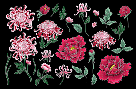 Vector hand draw seamless pattern of chrysanthemum and peonies.のイラスト素材