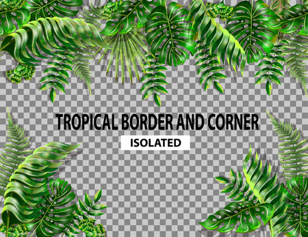 Isolated border and corner with tropical leaves.のイラスト素材