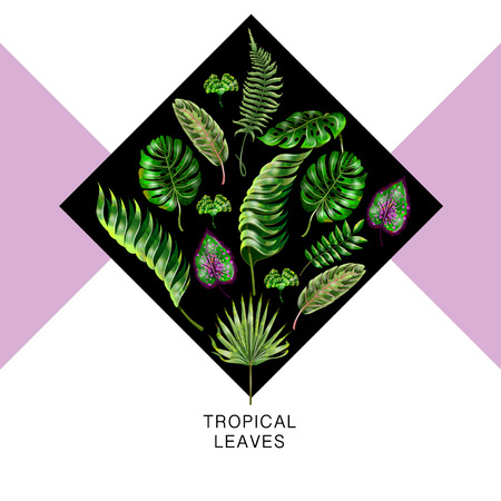 Tropical vector design for banner with  palm, fern, monstera leavesのイラスト素材