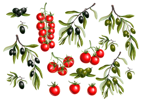Black  olives branches and cherry tomato isolated on white background,のイラスト素材