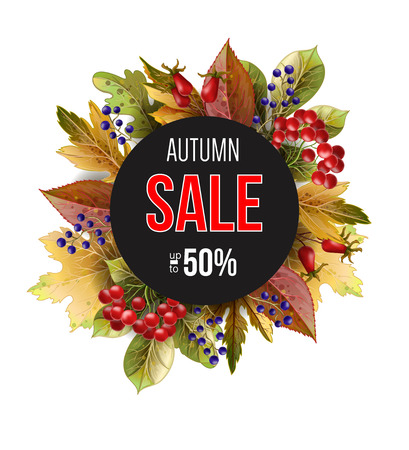 Banner sale with autumn yellow leaves and berries.のイラスト素材