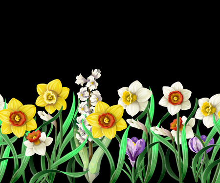 Border with daffodils and wild flowers.のイラスト素材