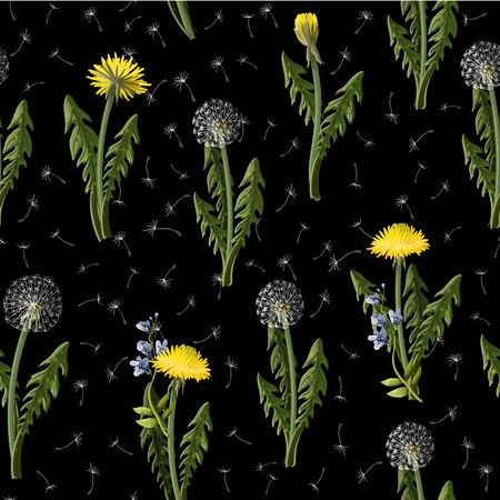Seamless pattern with dandelion and wild flowersのイラスト素材