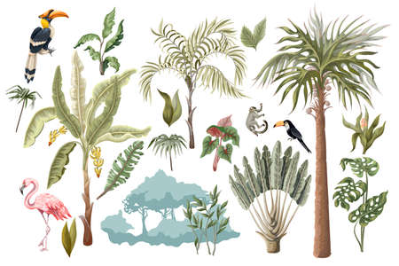 Jungle animals, flowers and trees isolated. Vectorのイラスト素材