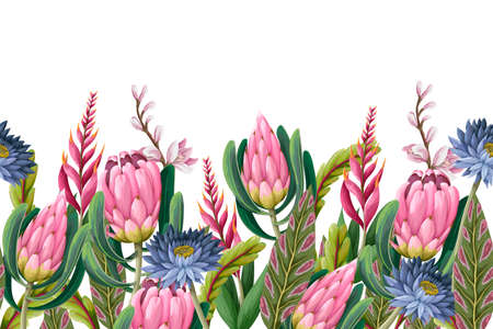 Border with proteas flowers. Trendy floral vector print.のイラスト素材