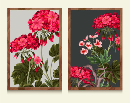 Botanical geraniums and wild flowers within the framework. Vector