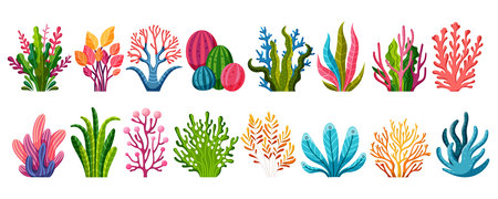 Collection of ocean and sea plants, underwater flora, seaweeds, marine life. Set of aquatic plants, algae, tropical seabed vector element.のイラスト素材