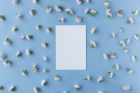 White postcard on blue background with small pink flower headsの写真素材