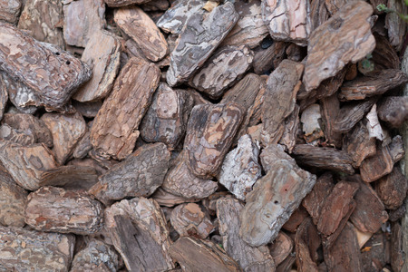 Old wood pieces texture. Natural background conceptの写真素材